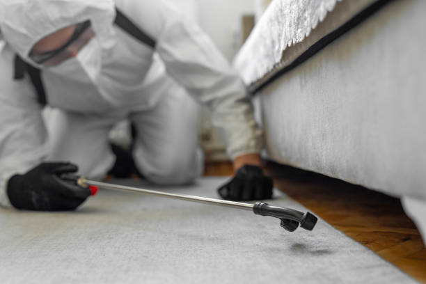 Professional Cockroach Control technician working in Frankenmuth, MI