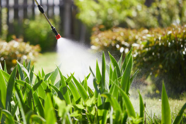 24/7 Emergency Cockroach Control experts in Frankenmuth, MI